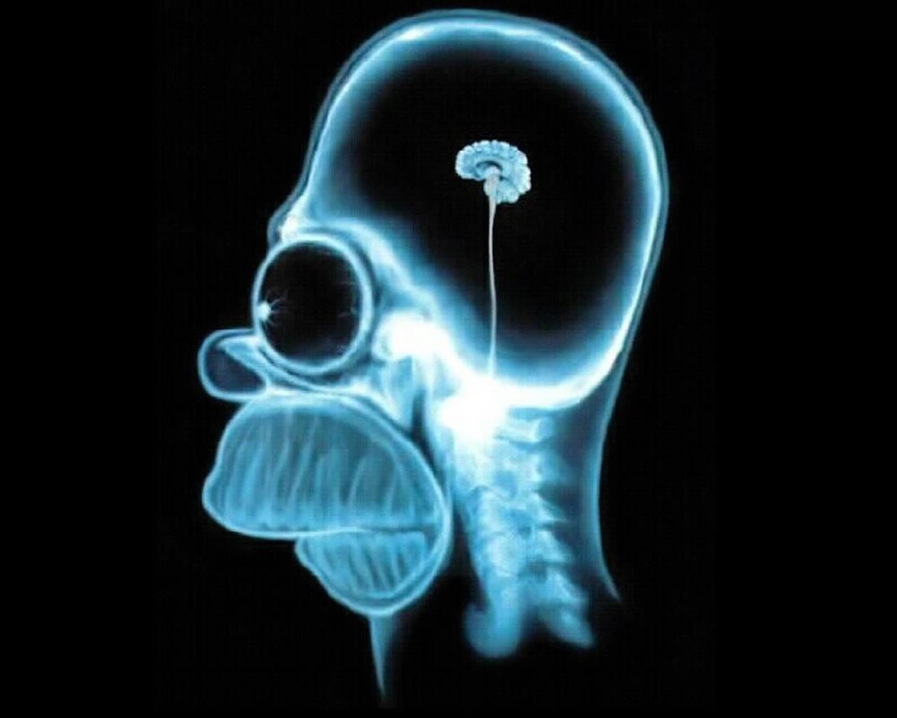 homer-simpson-wallpaper-brain