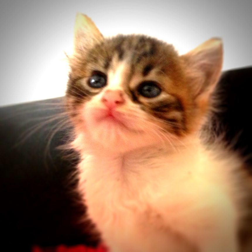 No merecemos la calle...